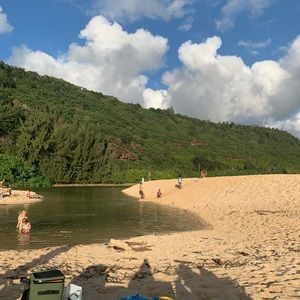 Meet your Posher, Elissa